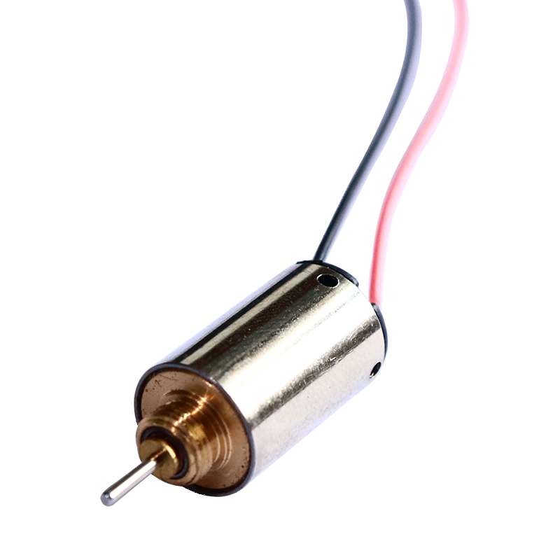 Hollow Cup DC Brush Motor